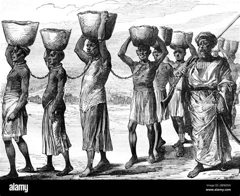 slave-selection|Natural Selection Through Slavery and the African Slave Trade